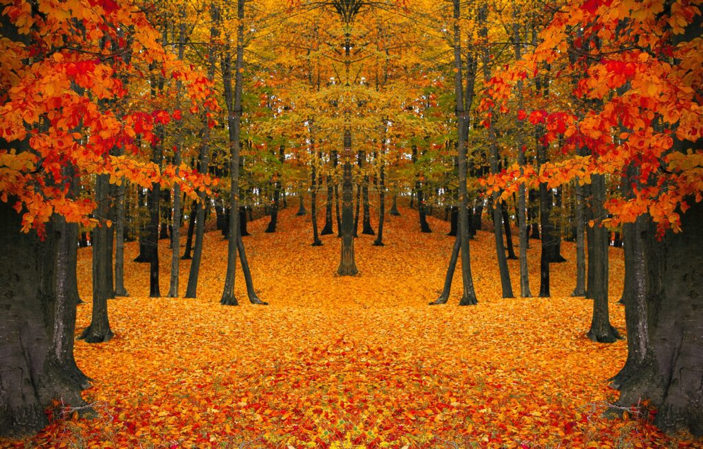 Autum Time For Preparinmg & Planning